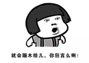  济南方言表情包加强版斗图咱从来没怕过解闷