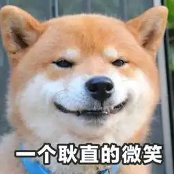  柴犬可爱表情包