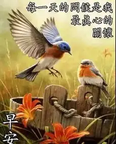  漂亮清晨早安问候动态表情图片,最美早上好祝福动态图