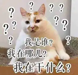  关于表情包