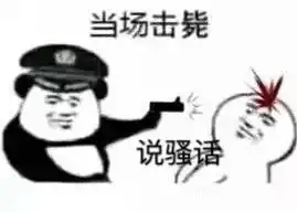 当场击毙表情包击毙