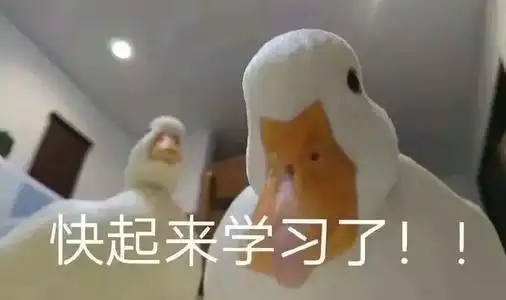 对不起表情包原版交卷