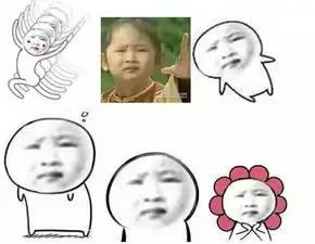  你表情包里的萌娃们,现在都怎么样了