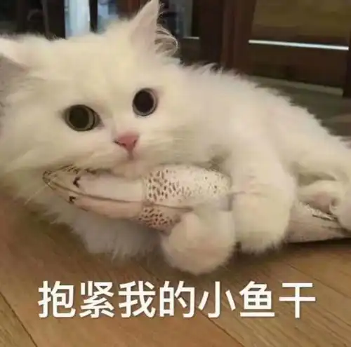 猫咪吓出双下巴表情包顿
