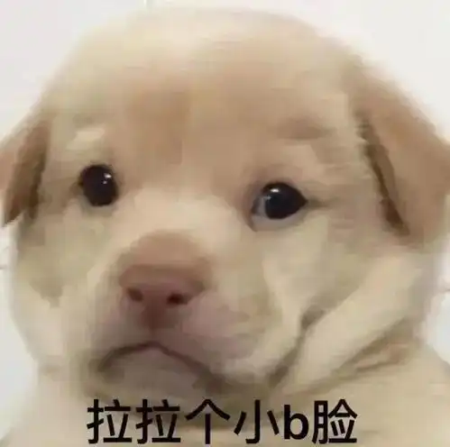  表情包1573期