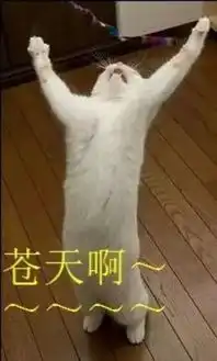  年年过年年相似,今年过年大不同交通1003带你去泰国过大年