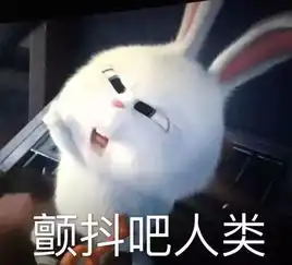  新规外卖小哥这样送外卖将被罚款珠海网友太赞了