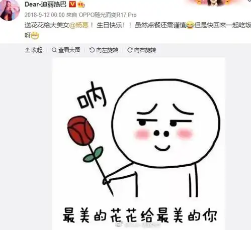  迪丽热巴为杨幂庆生,用蔡徐坤表情包被骂,发文道歉对不起小蔡