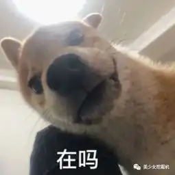 打狗狗表情包孙一宁