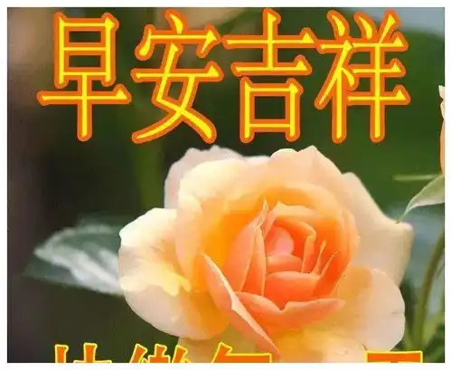 重要事情图片表情包早安