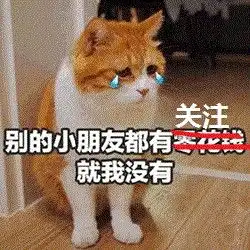  在世界性都阿姆斯特丹,却有着一条船,成为五十只猫的避风港
