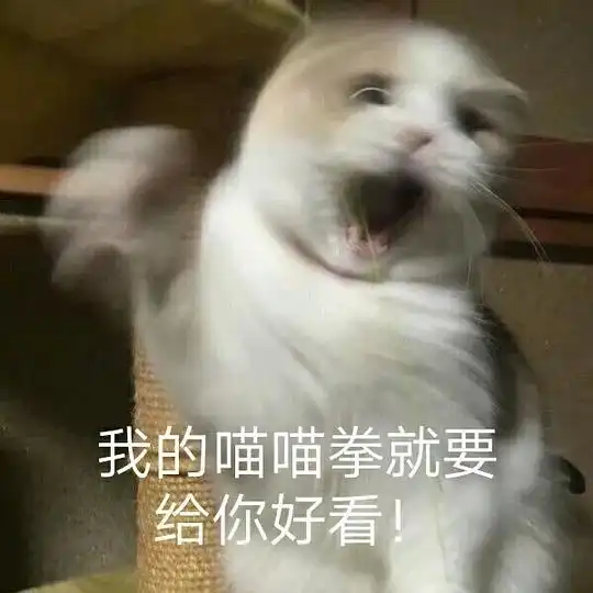  亚力士不可多得的相册一言不合就放图