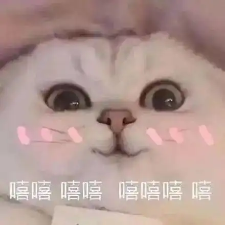  三预警2021压轴寒潮,津南速冻