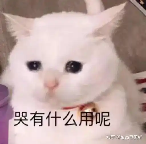 乖表情包的意思最萌