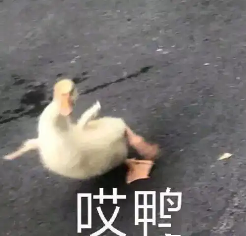  星座丨十二星座的恋爱小雷区,小心别踩雷