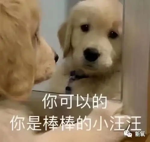  36岁的北川景子,颜值也太惊艳了