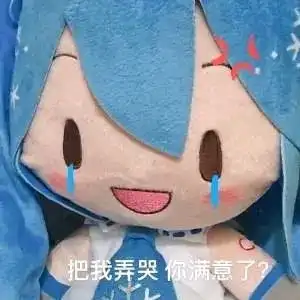 这到底是个啥东西