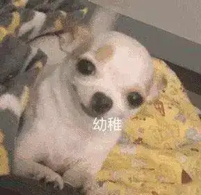  吉娃娃表情包
