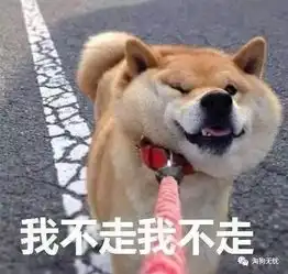  你女朋友不讲道理的样子,简直和它一模一样