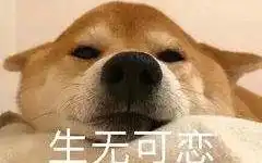  读书日常之吕克的梦想4