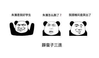  蚂蚁矿鸡x币圈表情包第二期再也不买币了