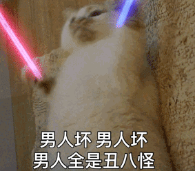  猫挥舞荧光棒表情包gif合集猫拿荧光棒表情动态图片