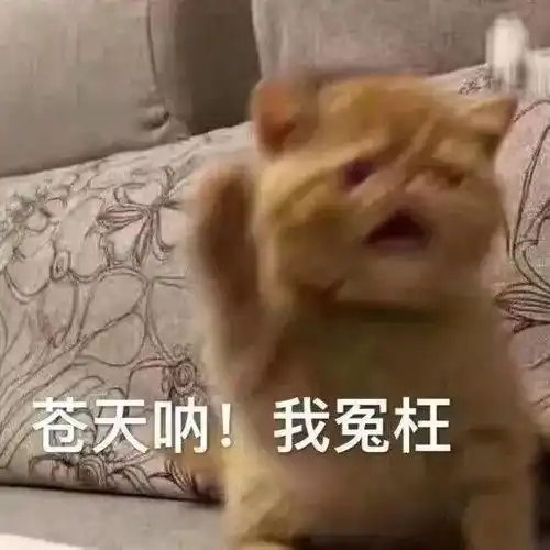  哄女朋友开心的表情包,低头认错