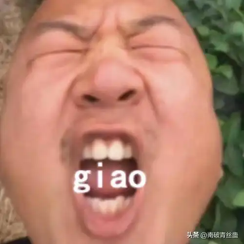  互联网上的小丑,生活中的有钱人,这几位网红装疯卖傻实在无下限