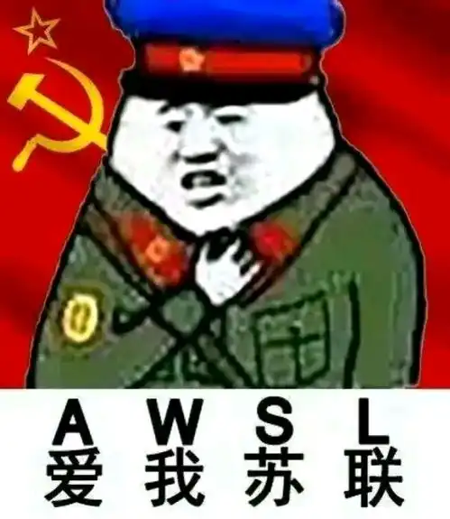 关于苏维埃的表情包