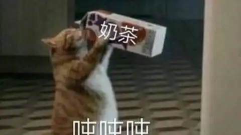  千与千寻小团子