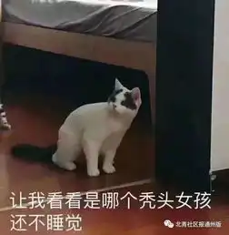  摆脱不掉脱发魔咒潞河医院将设脱发门诊,老铁试一下