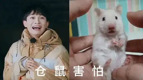  整到明星窒息这么过分也能9.0