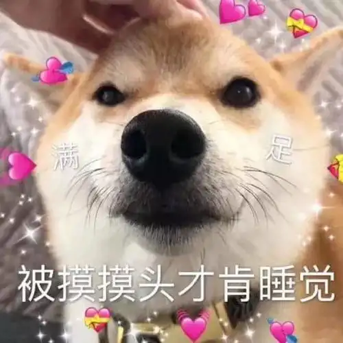 柴犬挨打表情包表情