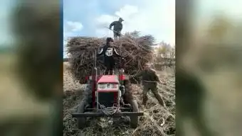  搞笑动态表情的个人频道