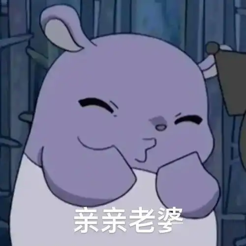  老婆奴巴库可爱表情包丨别骂了别骂了,我知错了