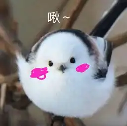  银喉长尾山雀的克星是什么动物呢