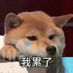  真人测评