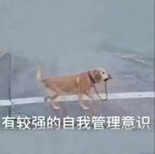  e句话看天下丨不要炒玲娜贝儿了