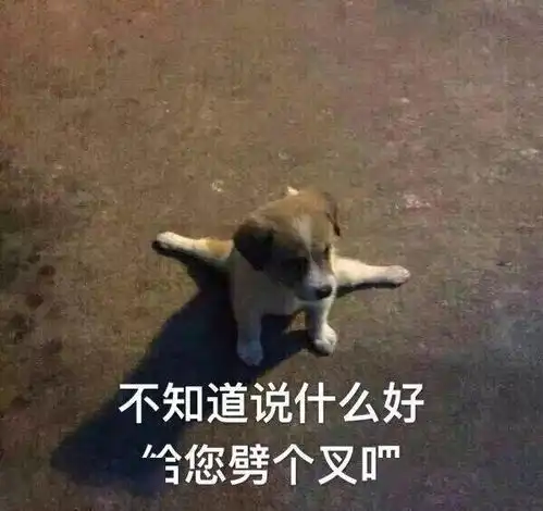  合集汪星人表情包