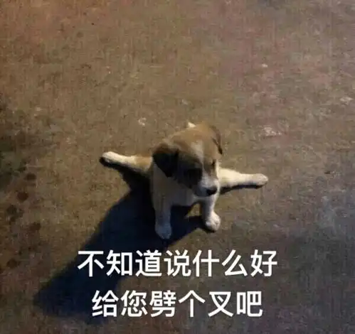 微信胖多拉表情包下课