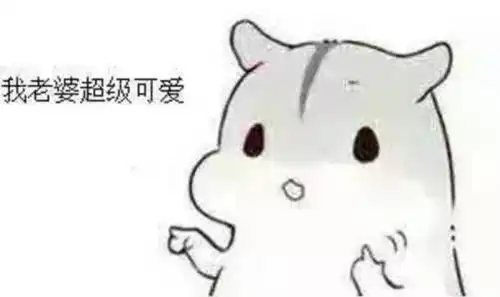  哄老婆表情包老婆大人对不起好喜欢老婆我老婆超级可爱