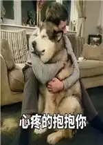  心疼的抱抱你表情图片拔你头发表情包下载乐游网游戏下载